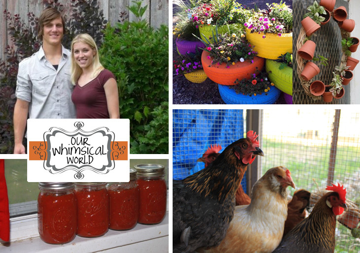 Featured Blog: Our Whimsical World