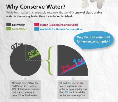 JetsonGreen's Water Conservation Infographic